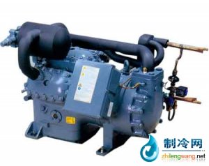 德國谷輪D9T/D6T雙級(jí)壓縮機(jī) 低溫應(yīng)用